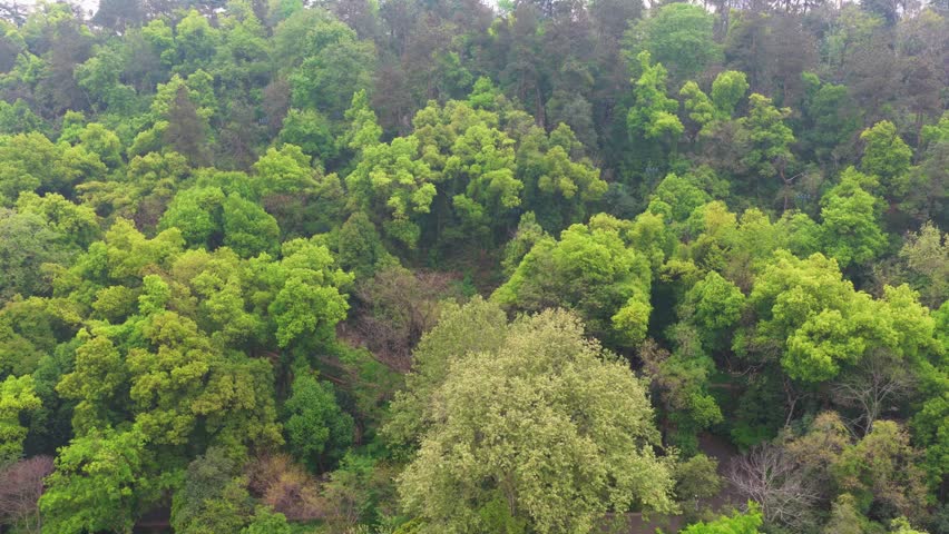Spring Scenery of Guishan Scenic Area, Wuhan, Hubei, China