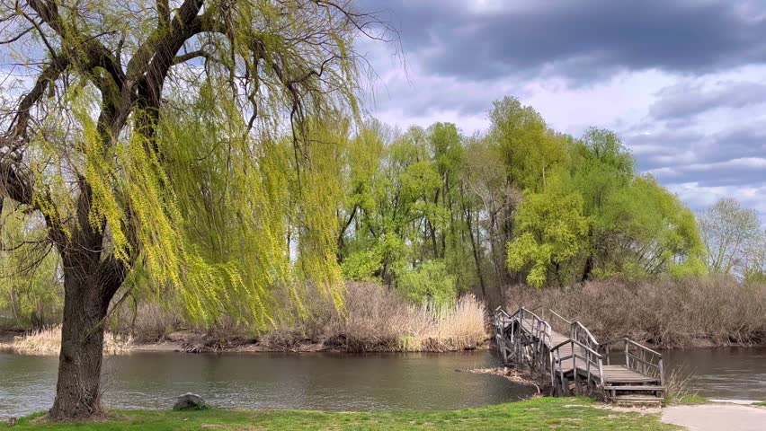 Static riverside view with lush trees moving in the wind under a dramatic cloudy sky. Calm water with natural reflections.