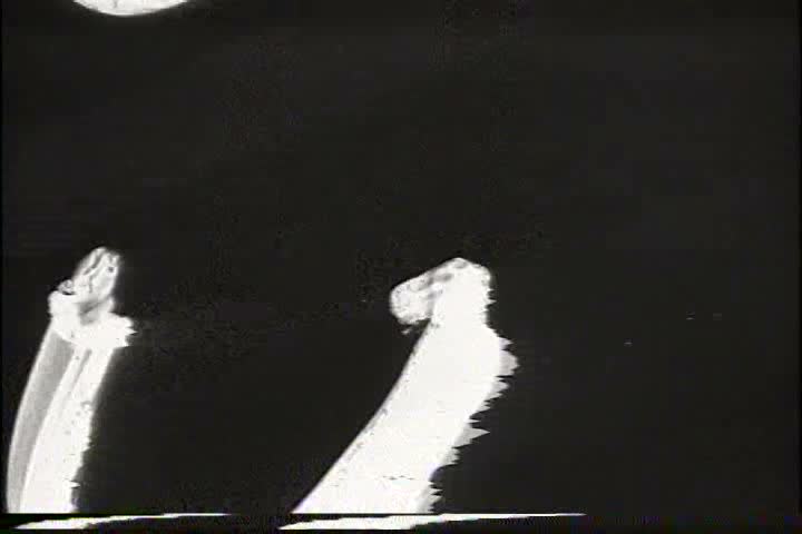 1920s - An American lumber camp in 1923.