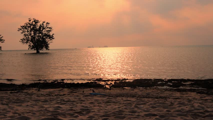Sunset from Vio Vio Beach, Batam Island, the calm sea waves with the silhouette of mangrove trees and coconut leaves blown by the wind.