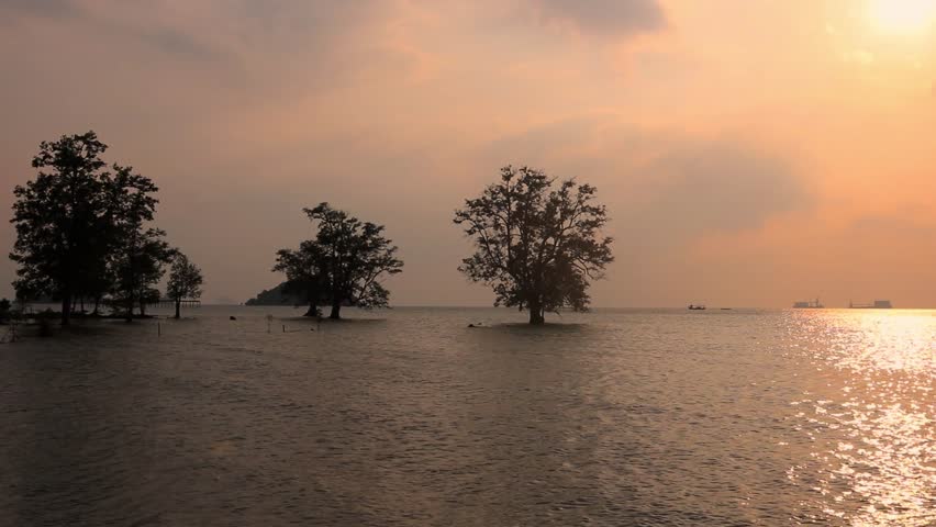 Sunset from Vio Vio Beach, Batam Island, the calm sea waves with the silhouette of mangrove trees and coconut leaves blown by the wind.