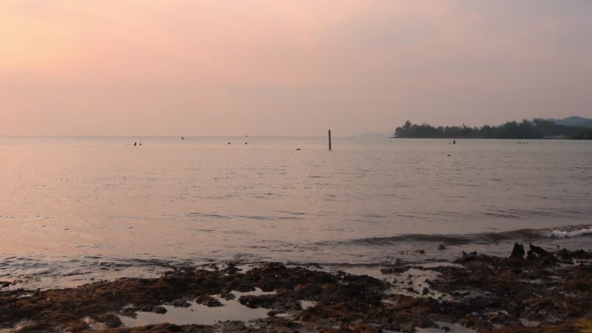 Sunset from Vio Vio Beach, Batam Island, the calm sea waves with the silhouette of mangrove trees and coconut leaves blown by the wind.