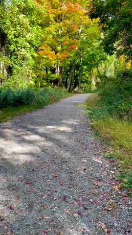 Colorful Autumn Tree Along Gravel Path (Cold Spring, New York, USA)