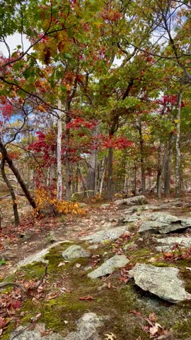Rocky Autumn Hillside Trail in Hudson Highlands Forest (Cold Spring, New York, USA)