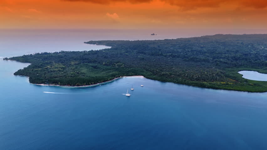 Several boats near the shore covered with lush greenery. Cloudy sky lit by the orange light at sunset.