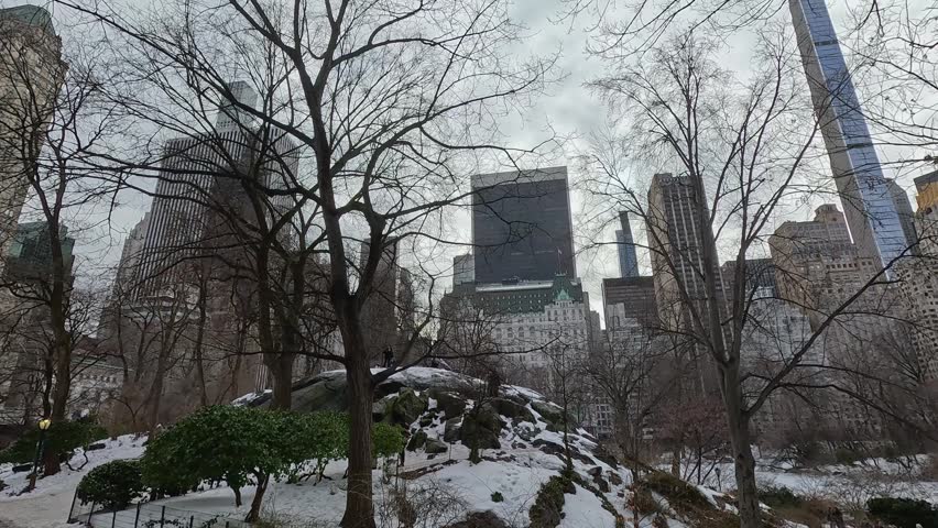 Footage of a gorgeous winter landscape in Central Park in Manhattan in New York City New York USA