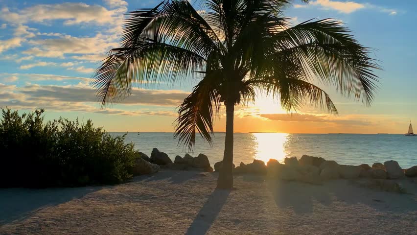 tropical view landscape of sea ocean in the morning with paalm tree, shining morning sun, blue sky and cloudscape