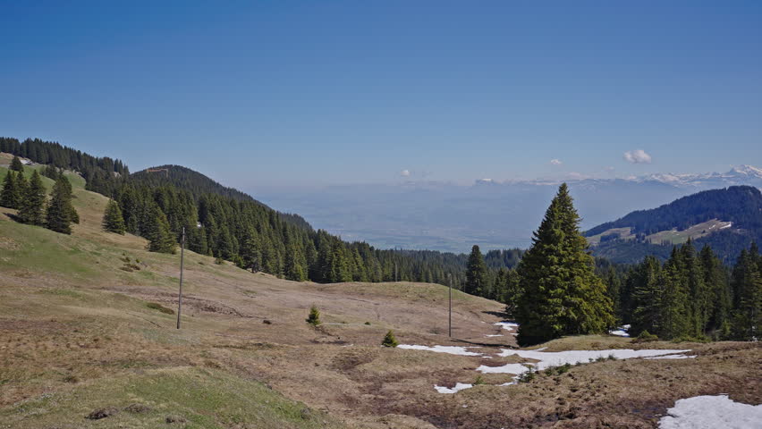 Bernese Alps Switzerland alpine meadow with pine trees and melting snow