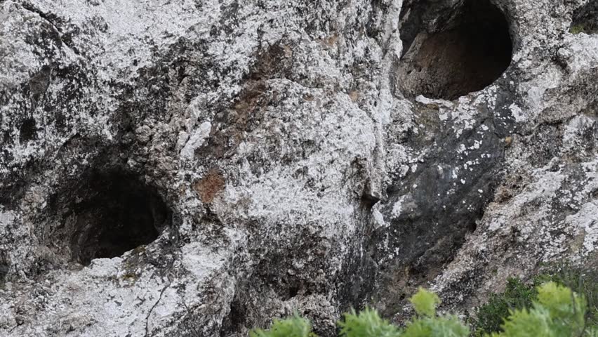 rock with two holes that looks like a face