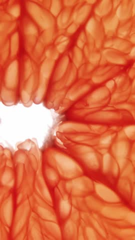 Close-up of half blood orange against white background