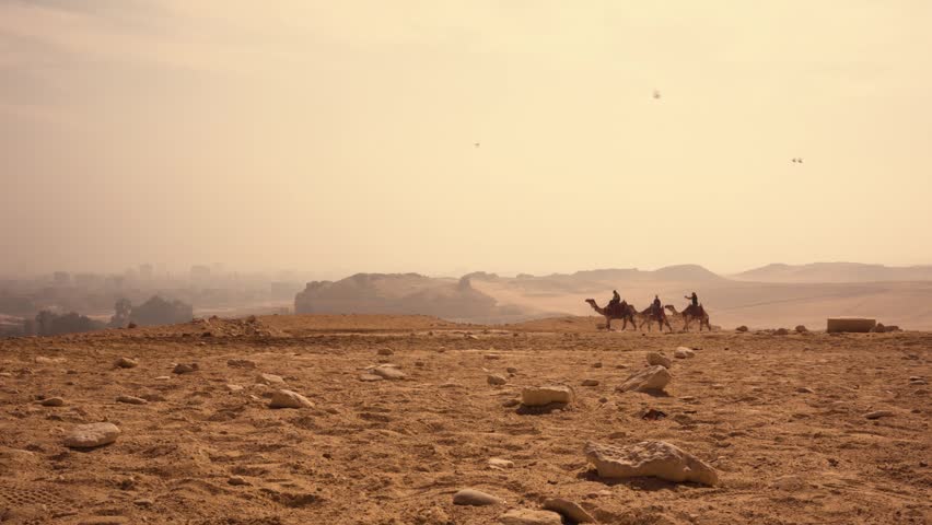 Silhouettes of three tourist camels walking in desert near Giza with city in background Egypt. A cinematic shot of three tourist camels walking in single file across desert terrain near Giza, Egypt. The foreground features sand dunes while the background shows a mix of desert and distant cityscape, creating an atmospheric and epic scene.
