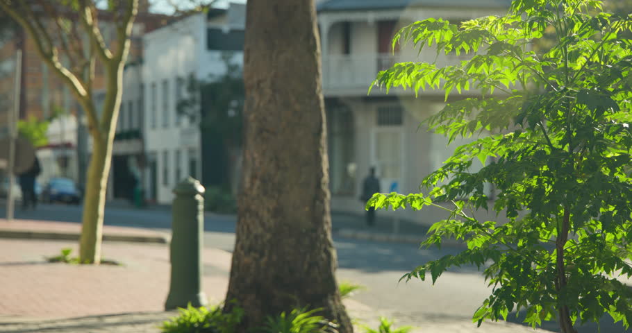 Two women, light top and dark jacket, entering on sidewalk walking past bollard, one checking phone. Pedestrians, urban, foliage, trunk, sunlight, storefronts, bokeh