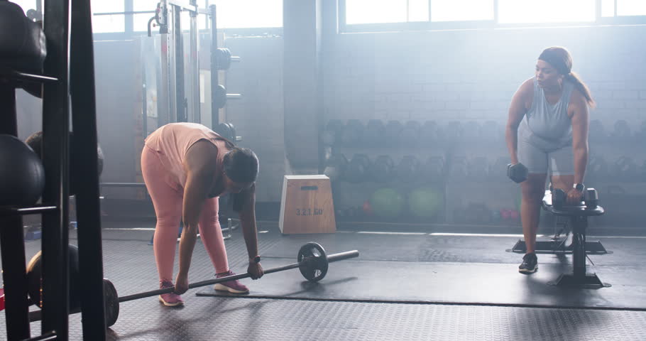 Diverse female gym partners starting set, gripping loaded barbell, rowing dumbbell at bench. Backlit, silhouette, duo, fitness, training, strength, weights