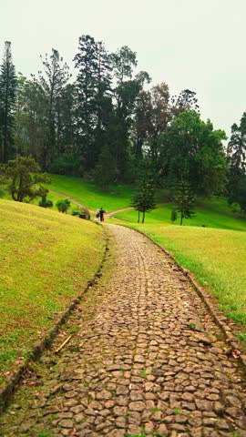Cobblestone path leading through green park