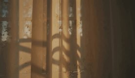 Soft Sunset Window Shadows Neutral Wall Background. - Powered by Shutterstock - Get 15% off with code: PIKWIZARD15