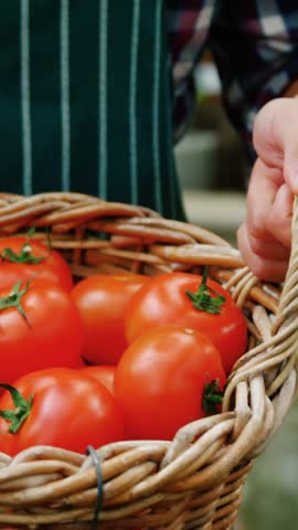 Man holding a basket of freshly harvested tomatoes in garden house