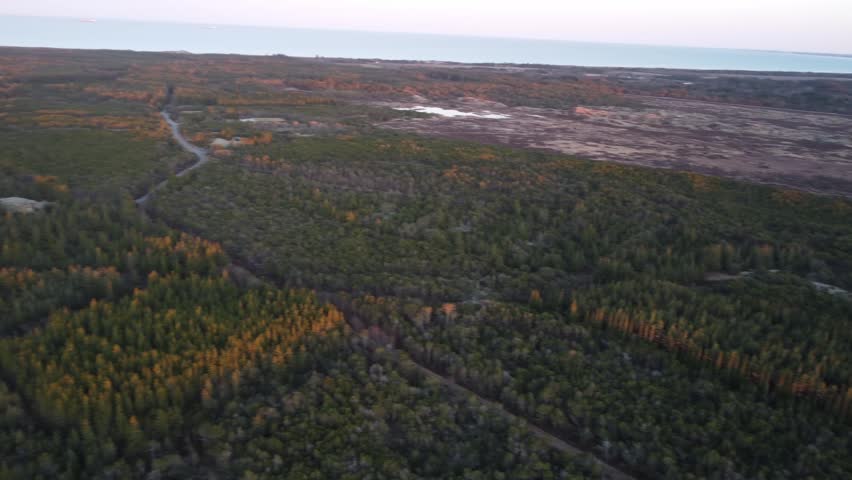Stunning panoramic aerial shot slowly panning over a dense forest and rugged moorland during a beautiful golden sunset, revealing the coastline of Skagen, Denmark, on the distant horizon