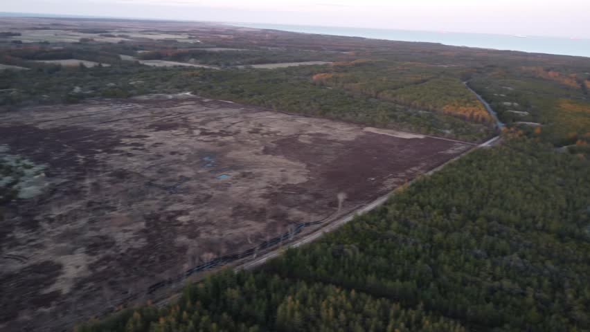 Aerial view of the stunning natural landscape of Råbjerg Mile, a migrating coastal sand dune in Skagen, Denmark, revealing a dramatic scenery of sand, forest, and water at sunset