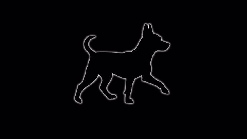 A smooth walking animation cycle of a small dog silhouette featuring both black on white and white outline versions in a minimalist graphic style for high contrast motion design.