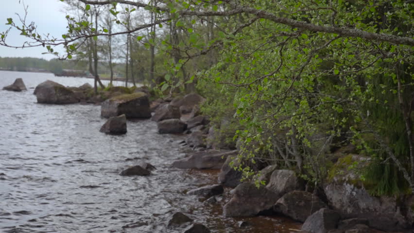 Tranquil Landscape Featuring Overhanging Branches And Mosscovered Stones Along Peaceful Waterbody. Creative