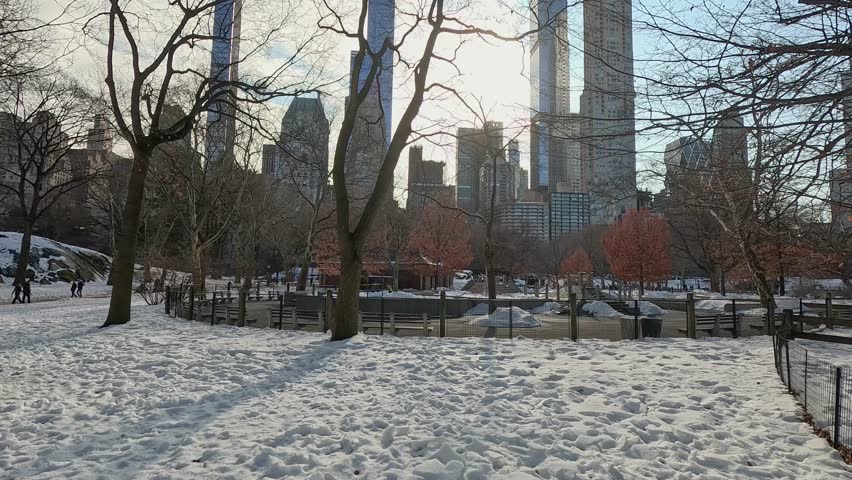 Footage of a gorgeous winter landscape in Central Park in Manhattan in New York City New York USA