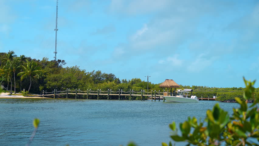 Island marina dock with boat and mangroves. Boat moored near wooden dock, mangroves and palms across calm water with foreground leaves.