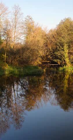 various trees growing near the shore in the autumn , a small lake and trees on the shore without foliage during the autumn fall