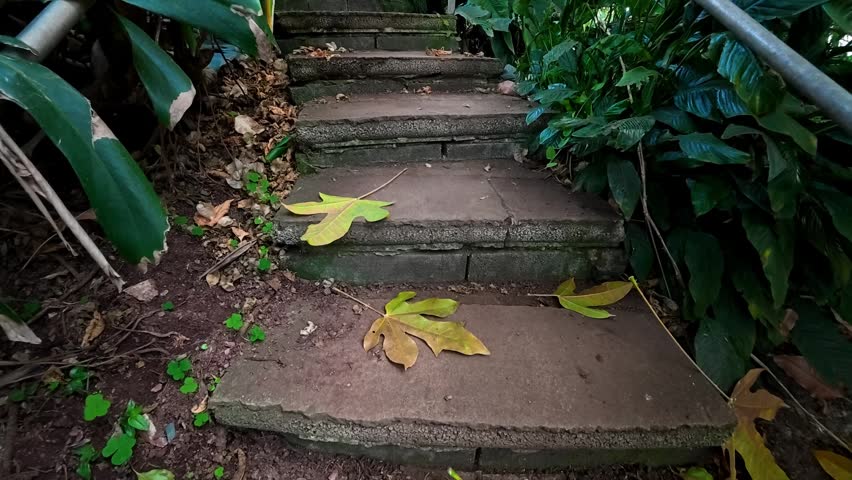 April 23, 2026. Pennsylvania, USA. Park and botanical garden.