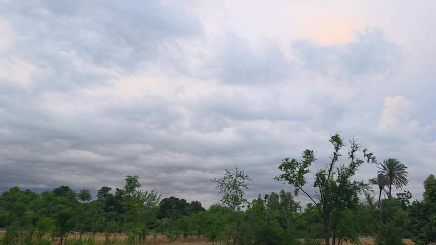 Storm clouds gathering over a lush green forest landscape during a gloomy and overcast afternoon 4K video (Ultra High Definition)