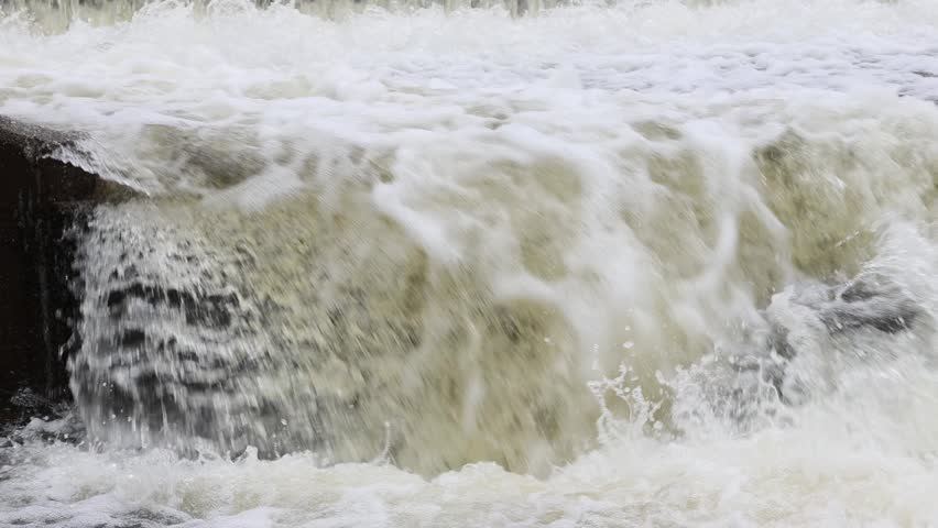 Two rainbow trout (Oncorhynchus mykiss) leap a weir on Pine Creek at Eagle Lake, Lassen County, California during the spawning run.