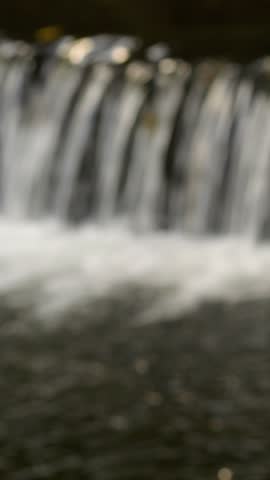 Water flowing down a waterfall into a pool in a forest