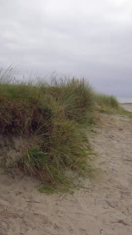 Deserted beach area on a windy day