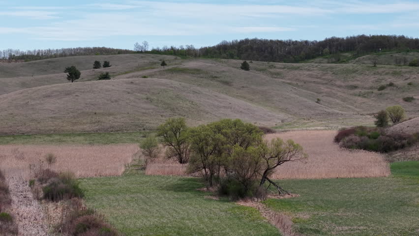 A panoramic view of rolling hills and a verdant valley in the countryside during early spring, showing the transition between dry reeds and fresh green grass under a soft sky.