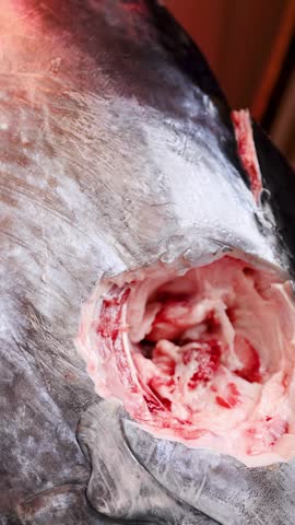 Close-up handheld shot of a raw bluefin tuna head displayed at a Japanese fish market