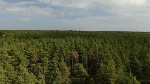 Drone Flying Forward above Dense Forest