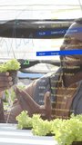 Vertical video: Grower lifting hydroponic lettuce, assessing roots while overlay marking sectors. Greenhouse, seedlings, cultivation, irrigation, horticulturist, analytics, vertical video - Powered by Shutterstock - Get 15% off with code: PIKWIZARD15
