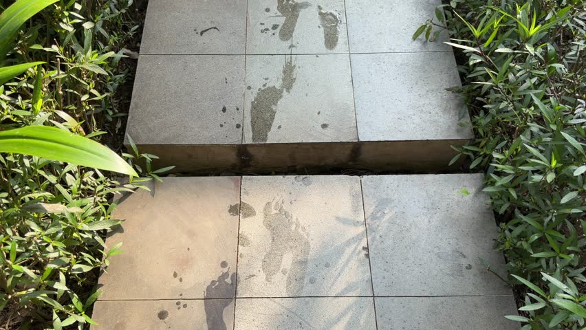 Concrete path leads through green garden foliage. Footprints mark the surface as if recently walked. Lush plants frame the path on both sides. Natural light enhances the scene