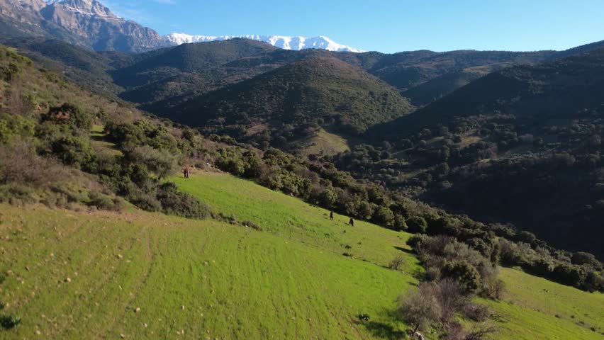 Aerial revealing shot of a valley with green pastures and forest slopes, with snowy mountains under blue sky. Tourists hike in the meadow enjoying views, connecting to travel and outdoor activities.
