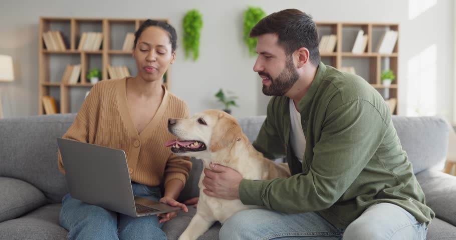 Couple with dog using laptop at home. Sitting on a sofa, owners communicate online and research care together in a bright living room. Concept highlights modern home pet friendly teamwork culture.