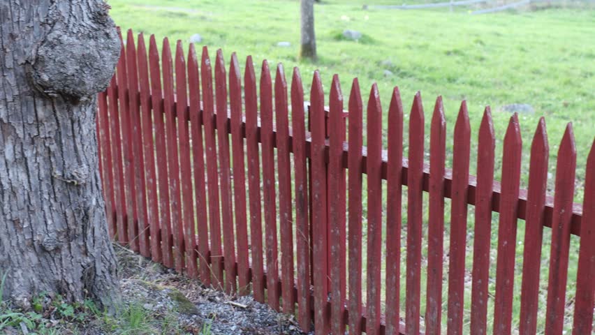 Stockholm, Sweden A red picket fence on a lawn in the early morning. 