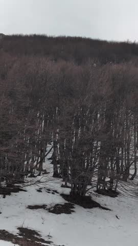 A close-up of a rocky surface in a mountain setting, with a contrast between natural textures and diffused light. A minimalist scene reminiscent of Alpine atmospheres and high-altitude landscapes