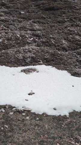 A close-up of a rocky surface in a mountain setting, with a contrast between natural textures and diffused light. A minimalist scene reminiscent of Alpine atmospheres and high-altitude landscapes