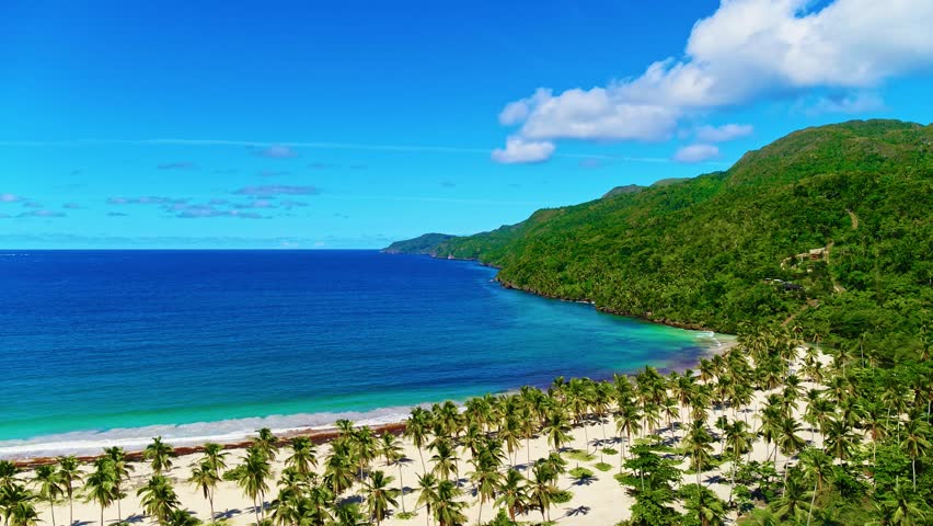 Seamless loop of sea waves on white Hawaiian sand beach. Palm trees, blue sea and a clean sandy paradise beach. Amazing wild beach of a tropical island in the ocean. Green palm trees against the ocean.