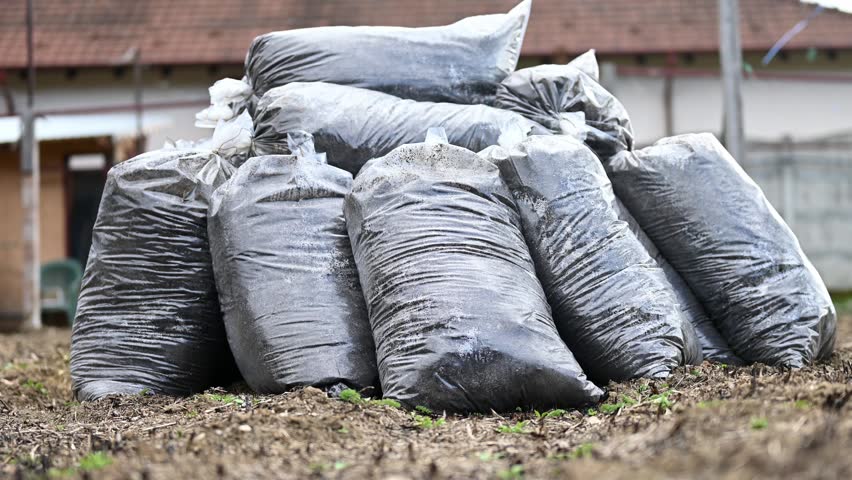 Bags of harvested grapes stacked outdoors on grass, agricultural harvest and storage scene.