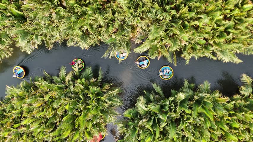 Hoi An, Vietnam April 20 2026 top view aerial of basket boats floating on river surrounded by palm forest