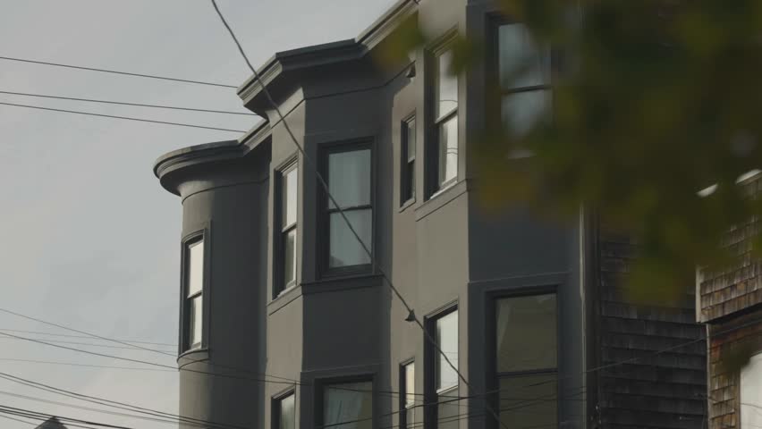 Building windows with tree leaves foreground, Pacific Heights, San Francisco