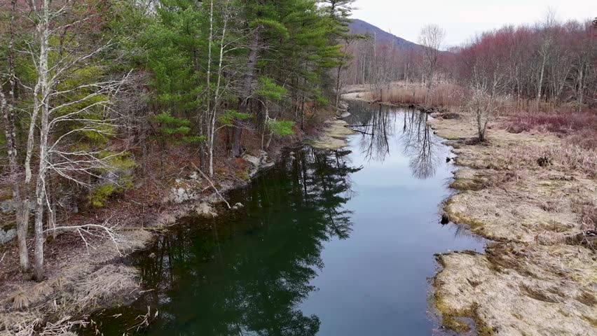 Aerial view of a winding river reflecting bare trees and blue skies, flanked by diverse forests and dry reeds, Highland, New York, United States.