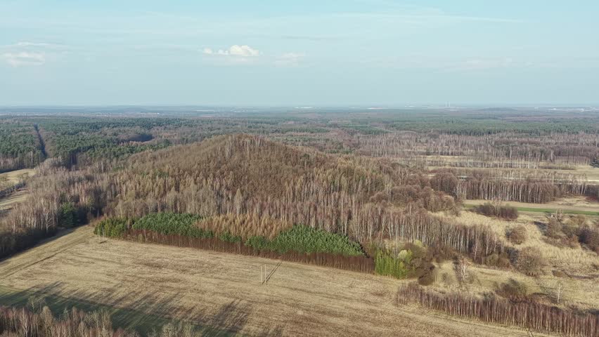 Warm sunlight on a natural rural environment