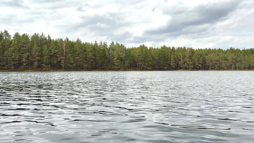 Wide view of a calm forest lake with rippling water and cloudy sky. Serene nature scenery, peaceful outdoors, travel background, wilderness landscape.