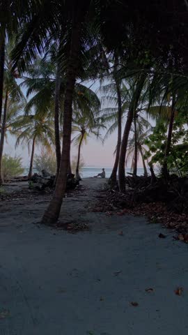 Aerial view of sandy path leading to the beach and the sea, with palm trees casting shadows in Vashafaru Island, Maldives.